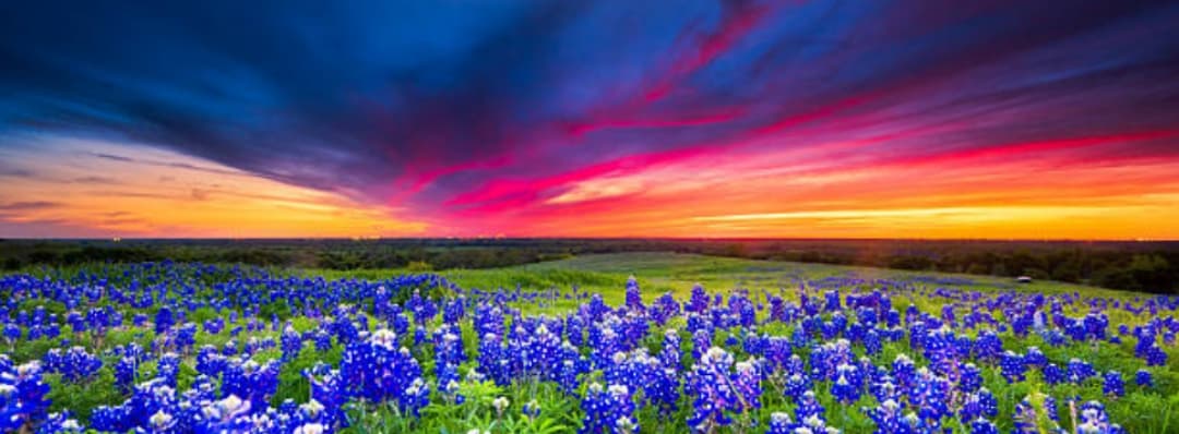 Norvell & Co. Hero Image